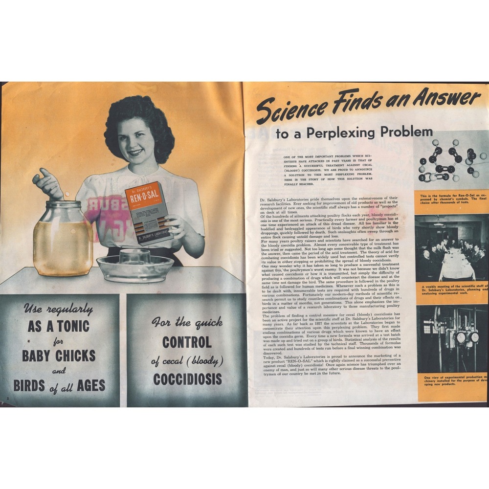 1945 Dr. Salsbury's Poultry Health Messenger Spring Magazine Ren-O-Sal Medicine - Picture 3 of 3